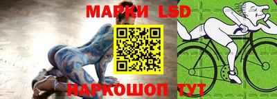 крисы Кингисепп