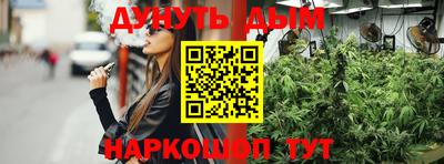 крисы Кингисепп