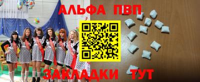 крисы Кингисепп