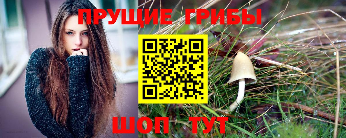 Псилоцибиновые грибы мицелий  Псилоцибиновые грибы GOLDEN TEACHER  Вход с VPN  Усть-Джегута 
